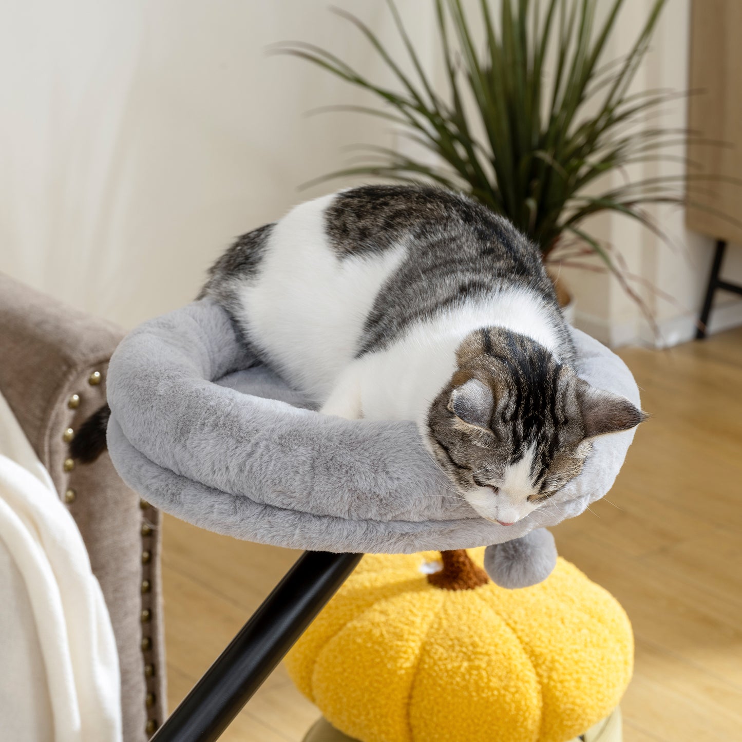 PawHut Cat Desk Bed, Cat Hammock 360° Rotatable Adjustable for Window, Table, Work, Grey