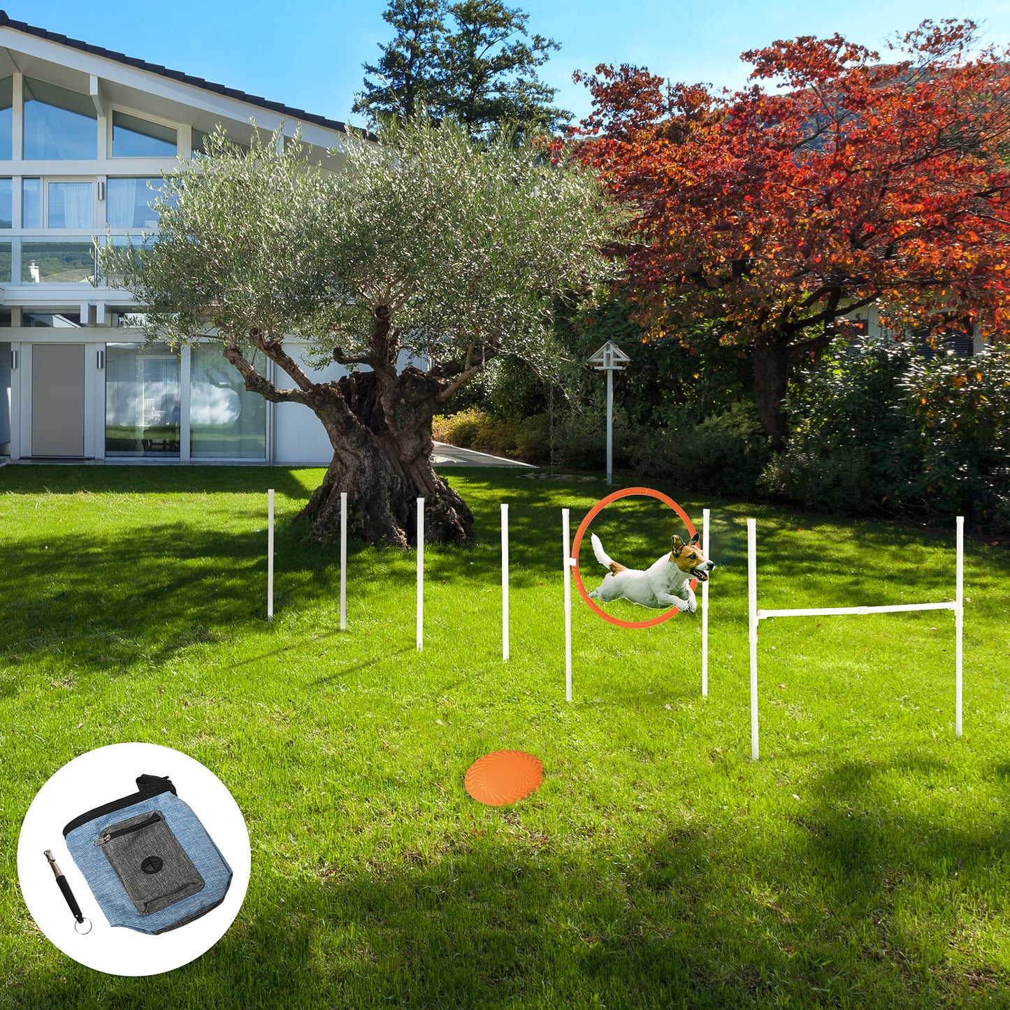 PawHut Dog Agility Training Equipment for Dogs with Carry Bag Multicoloured