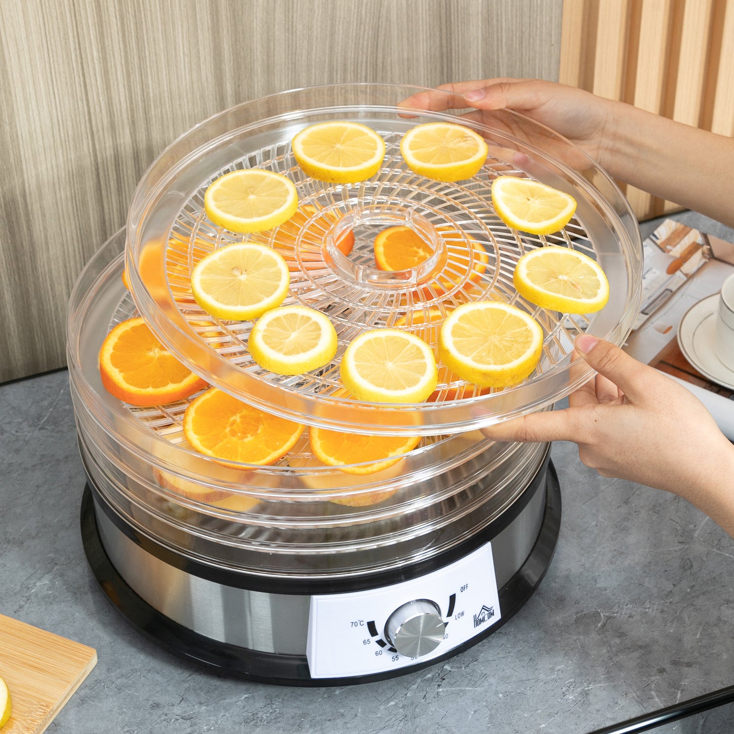HOMCOM 5 Tier Food Dehydrator, 250W Stainless Steel Food Dryer Machine with Adjustable Temperature for Drying Fruit, Meat, Vegetable, Jerky and Pet Treat, Silver