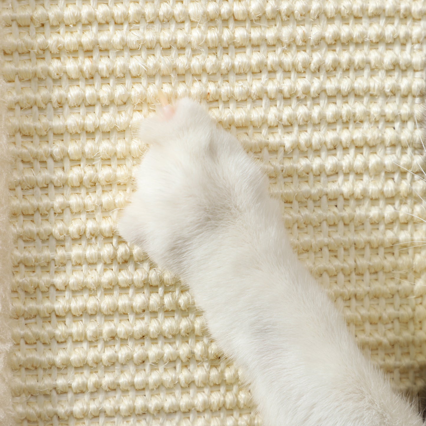 PawHut 3 in 1 Cat Scratching Post, 67cm Cat Scratcher w/ Track Ball Toy, Oak