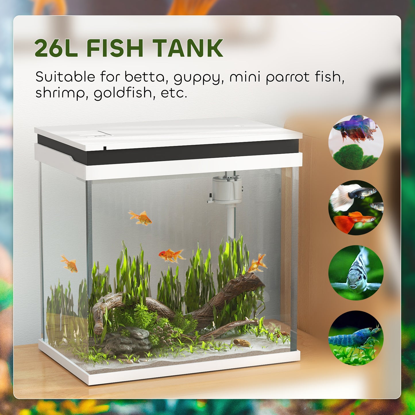 PawHut 26L Glass Fish Tank with Filter System, LED Lights, Water Pump, White