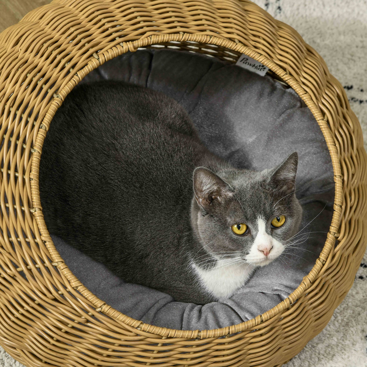 Grey wicker cat bed fashion