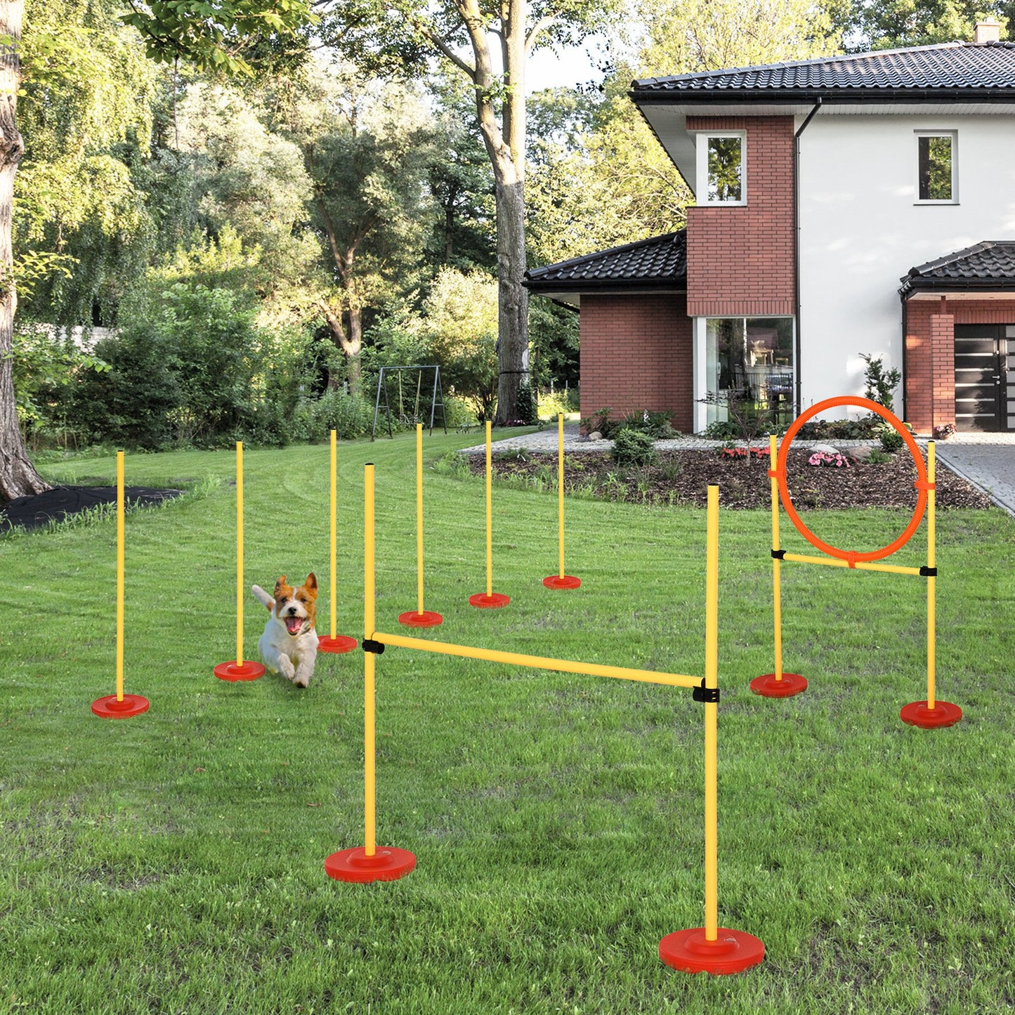 PawHut Dogs Plastic 3-Course Agility Set Yellow