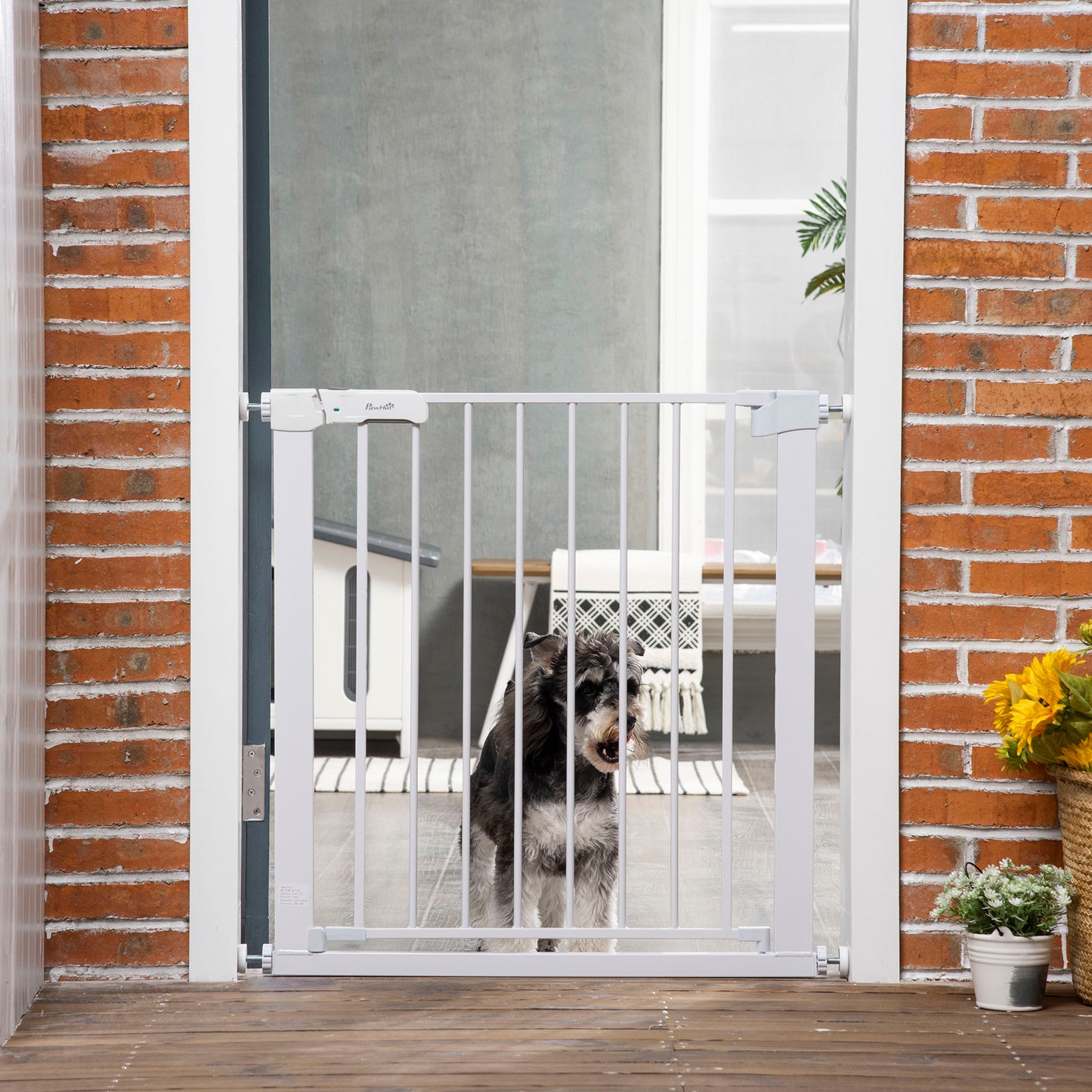 Fence hotsell dog door