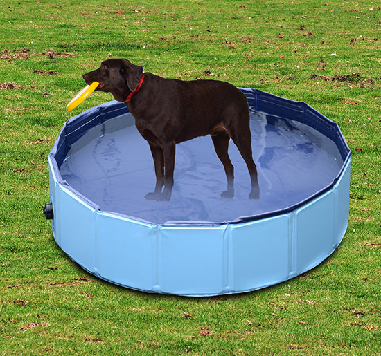 PawHut Pet Swimming Pool, Foldable, 120 cm Diameter-Blue