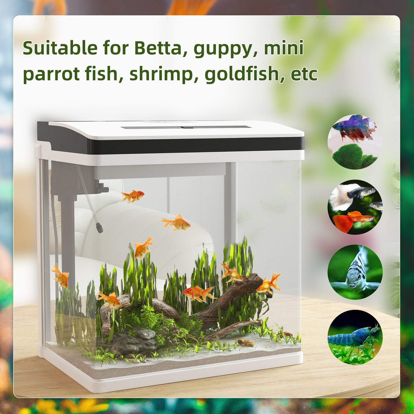PawHut 28L Glass Aquarium Fish Tank with Filter LED Lighting for Betta Guppy Mini Parrot Fish Shrimp 38 x 26 x 39.5cm