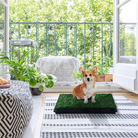 Pawhut Indoor Pet Puppy Toilet Training Mat W/Tray and Loo Pad