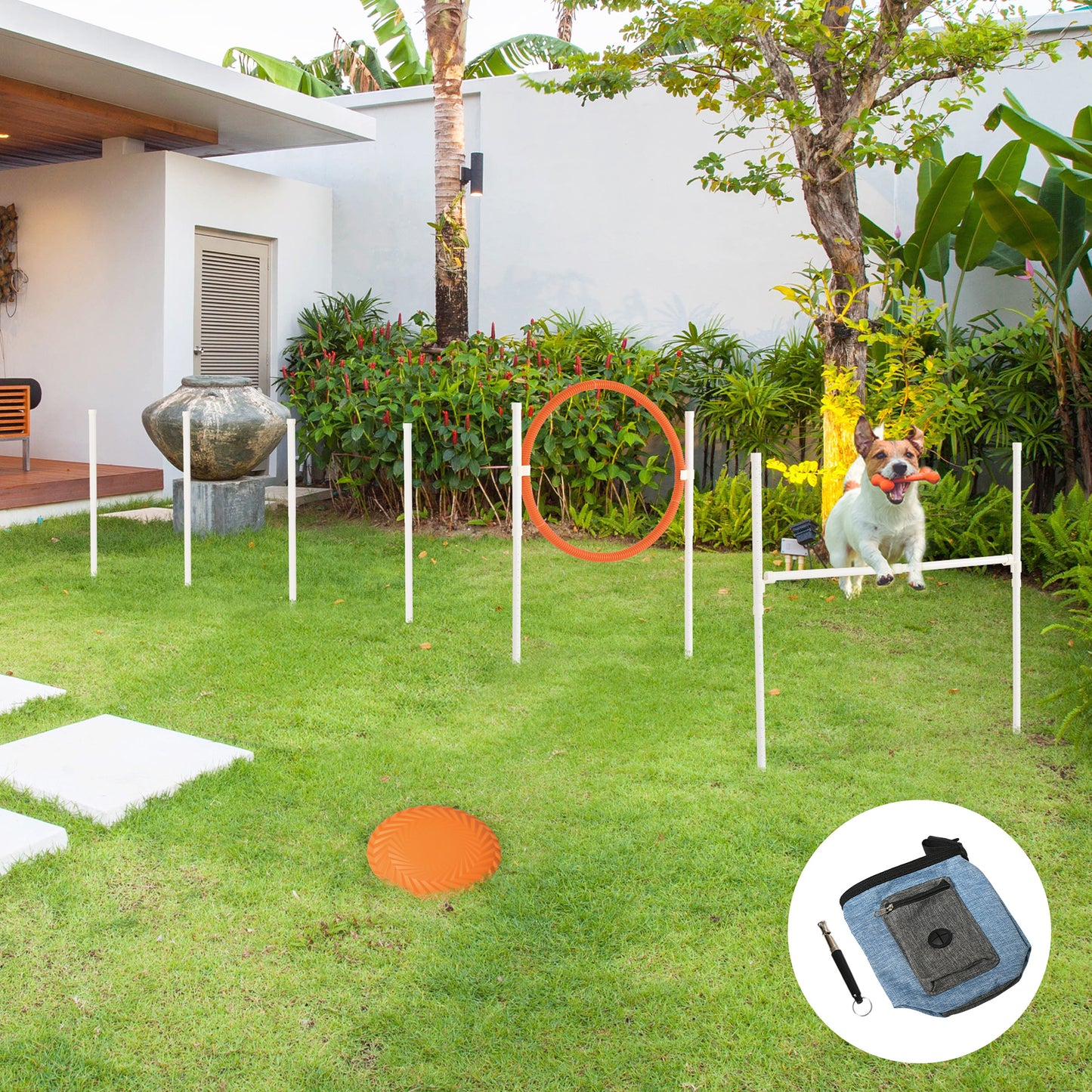 PawHut Dog Agility Training Equipment for Dogs with Carry Bag Multicoloured