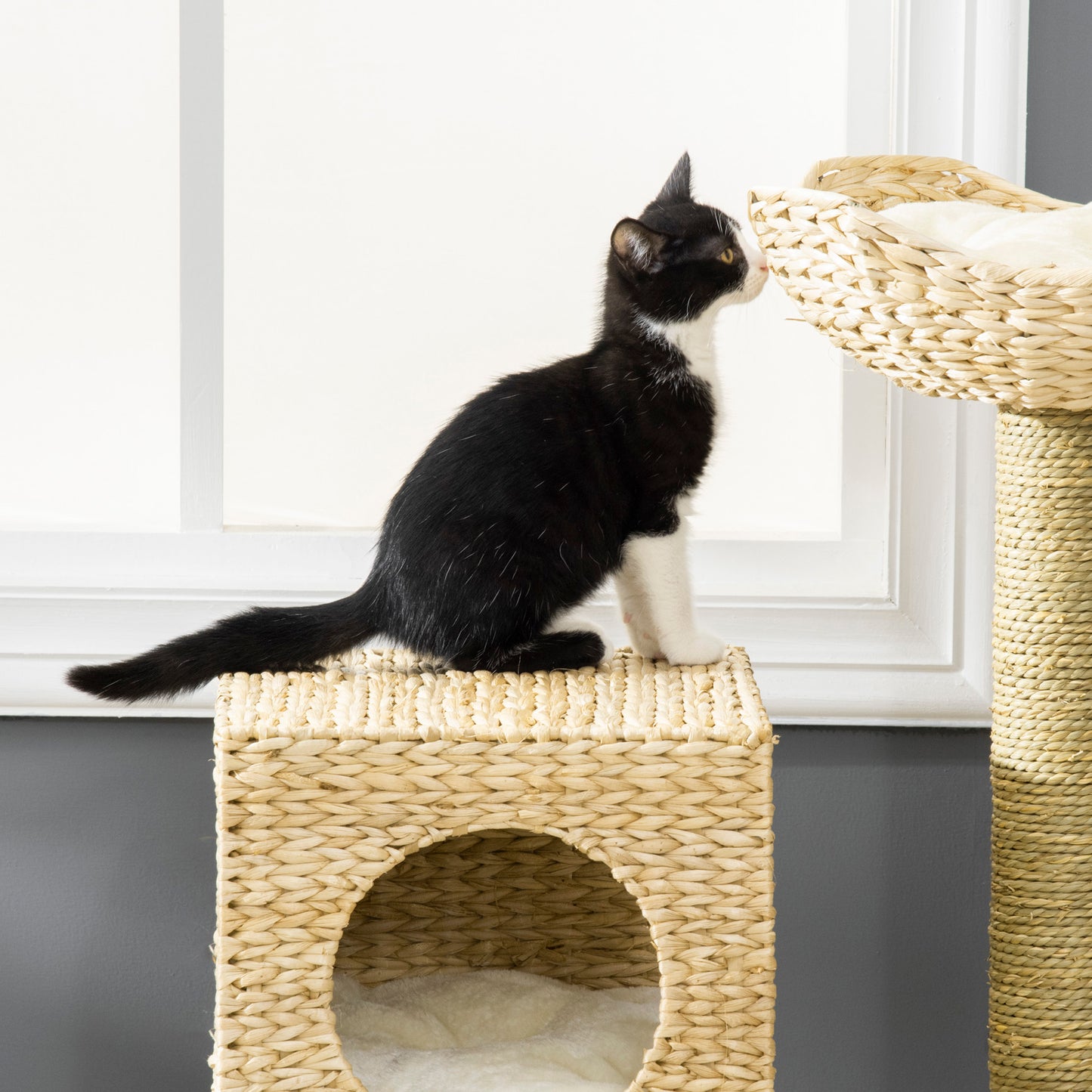 PawHut Cat Tree for Indoor Cats Kitten Tower Cattail Weave with Scratching Posts, Natural, 57 x 37 x 100.5 cm