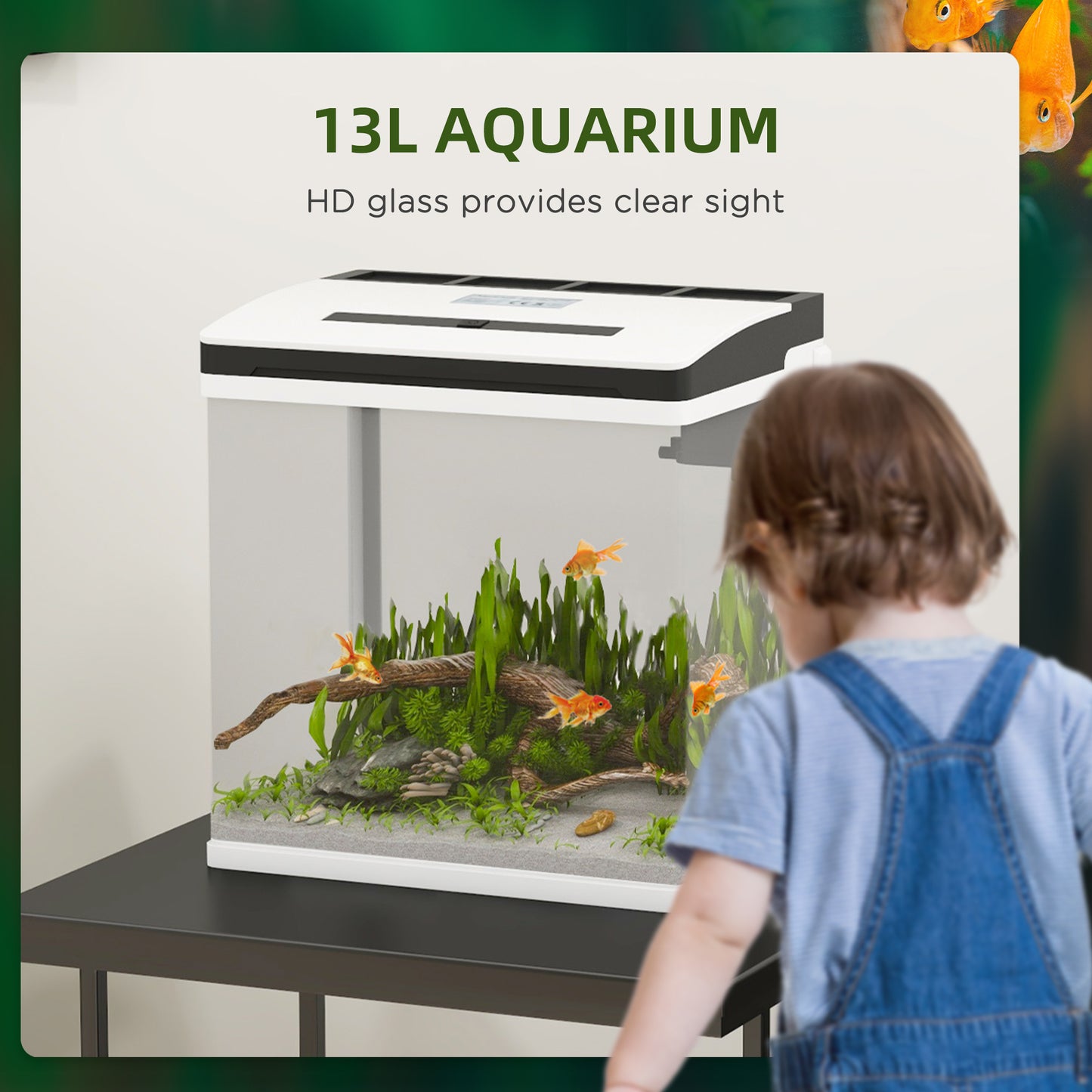 PawHut 13L Glass Aquarium Fish Tank with Filter LED Lighting for Betta Guppy Mini Parrot Fish Shrimp 29 x 20 x 30.5cm