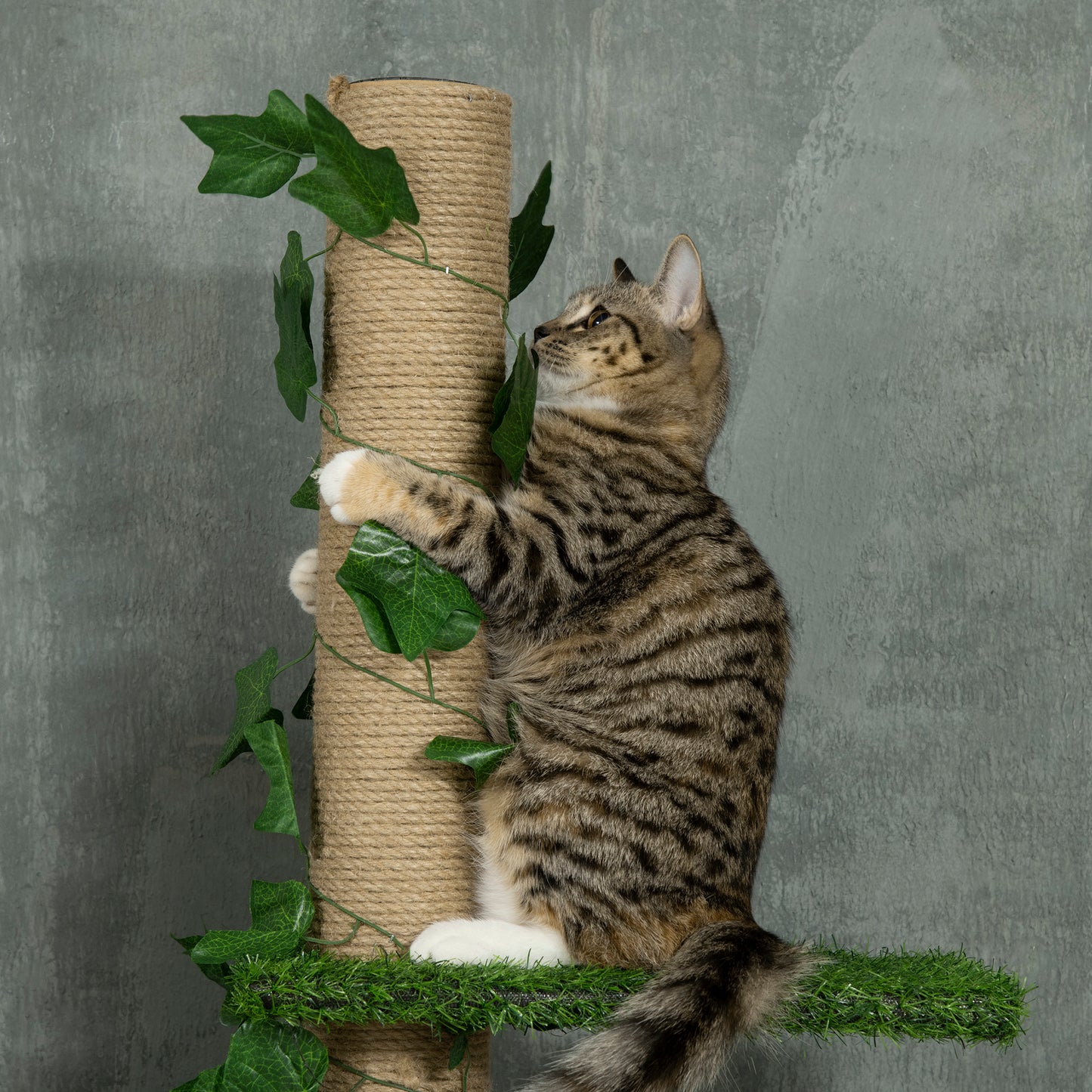 PawHut 242cm Floor to Ceiling Cat Tree, Height Adjustable Kitten Tower with Anti-slip Kit, Green