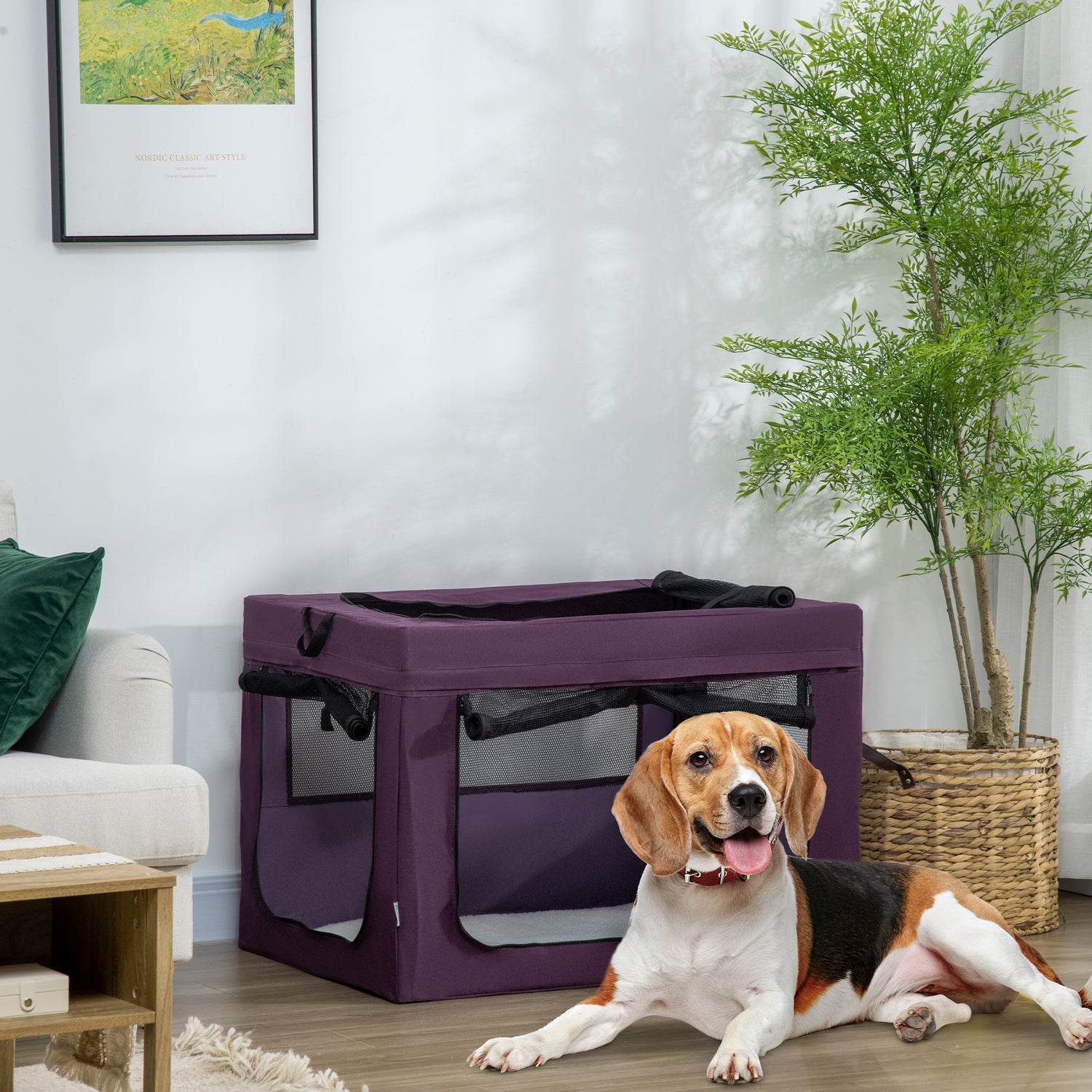 Classic kennel clearance pet carrier