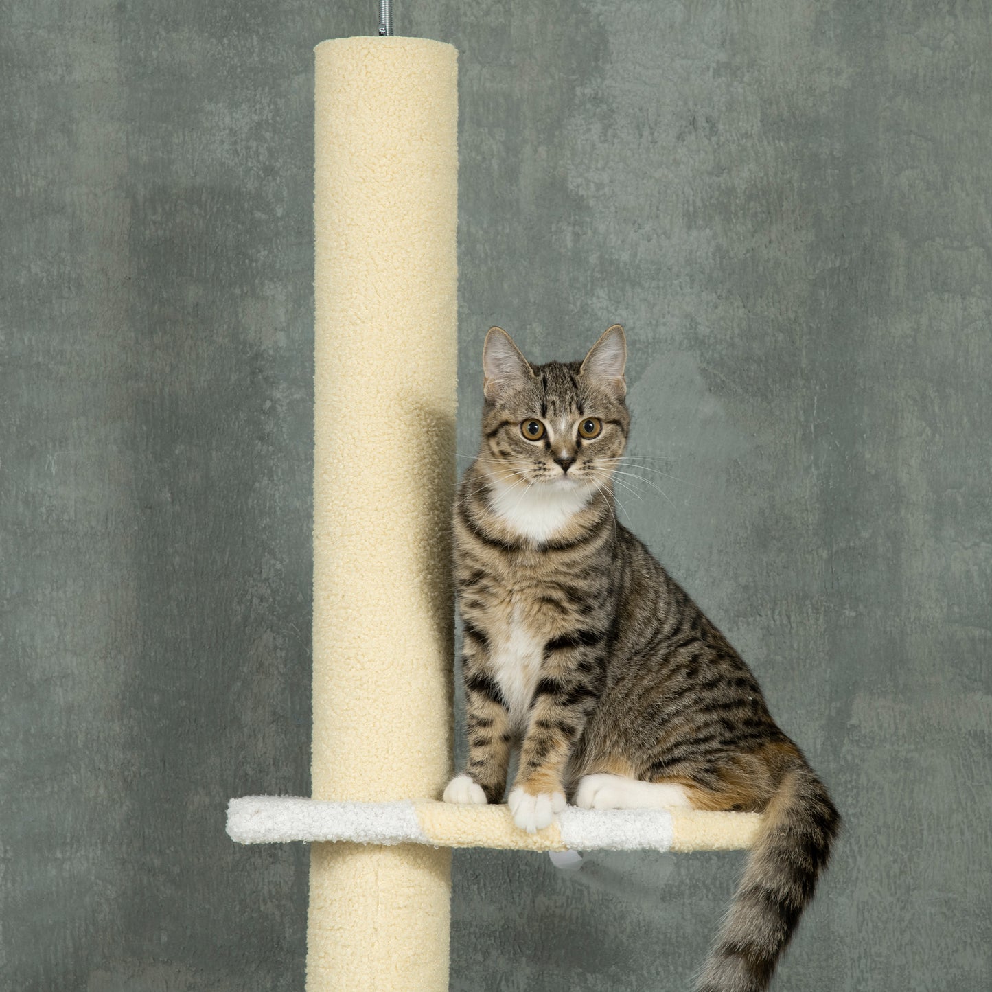 PawHut 260cm Floor to Ceiling Cat Tree, Height Adjustable Kitten Tower with Anti-slip Kit, Multi-Layer Activity Center, Yellow