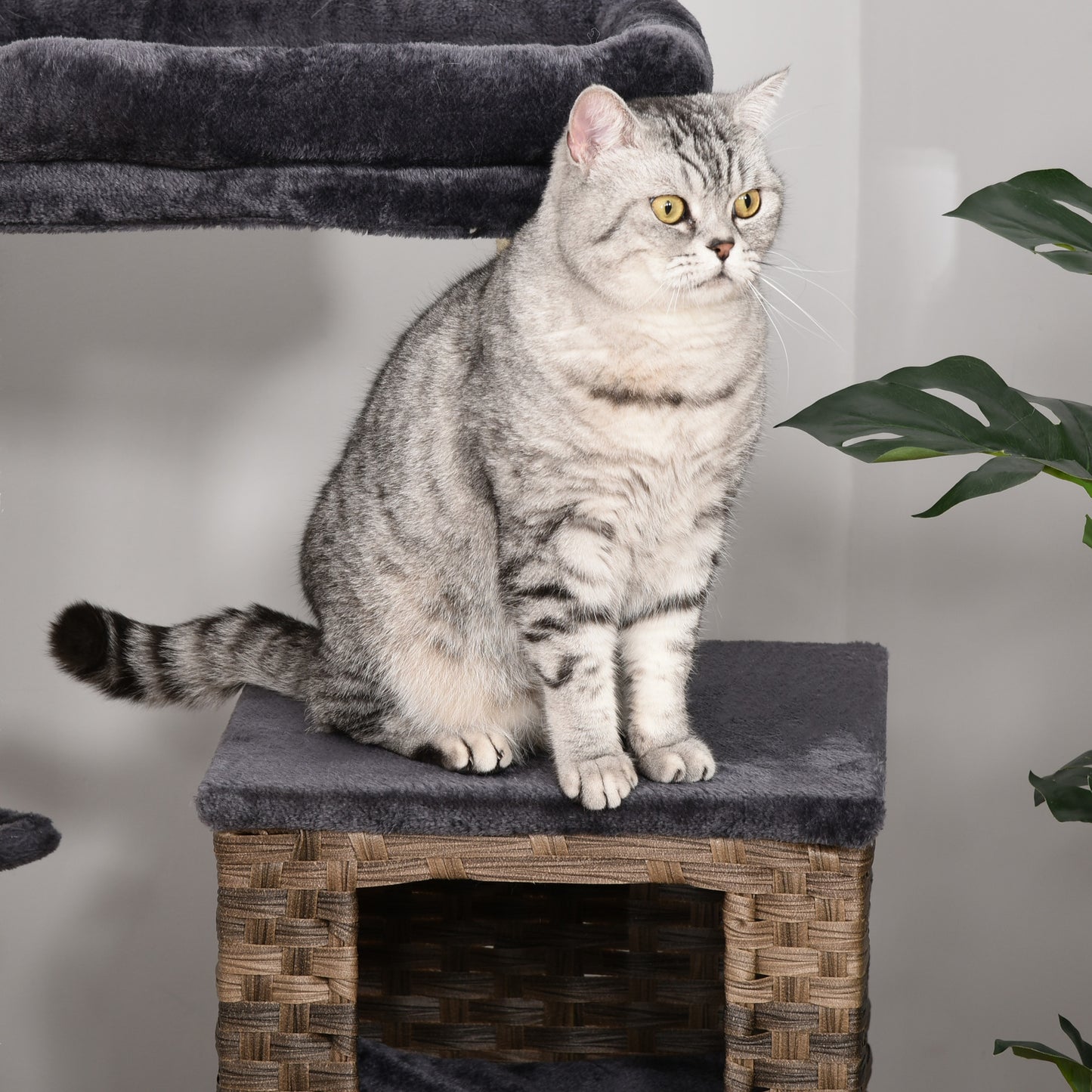 PawHut Cat Tree Tower w/ Sisal Posts Condo Hanging Ball Cushion Perch PE Rattan