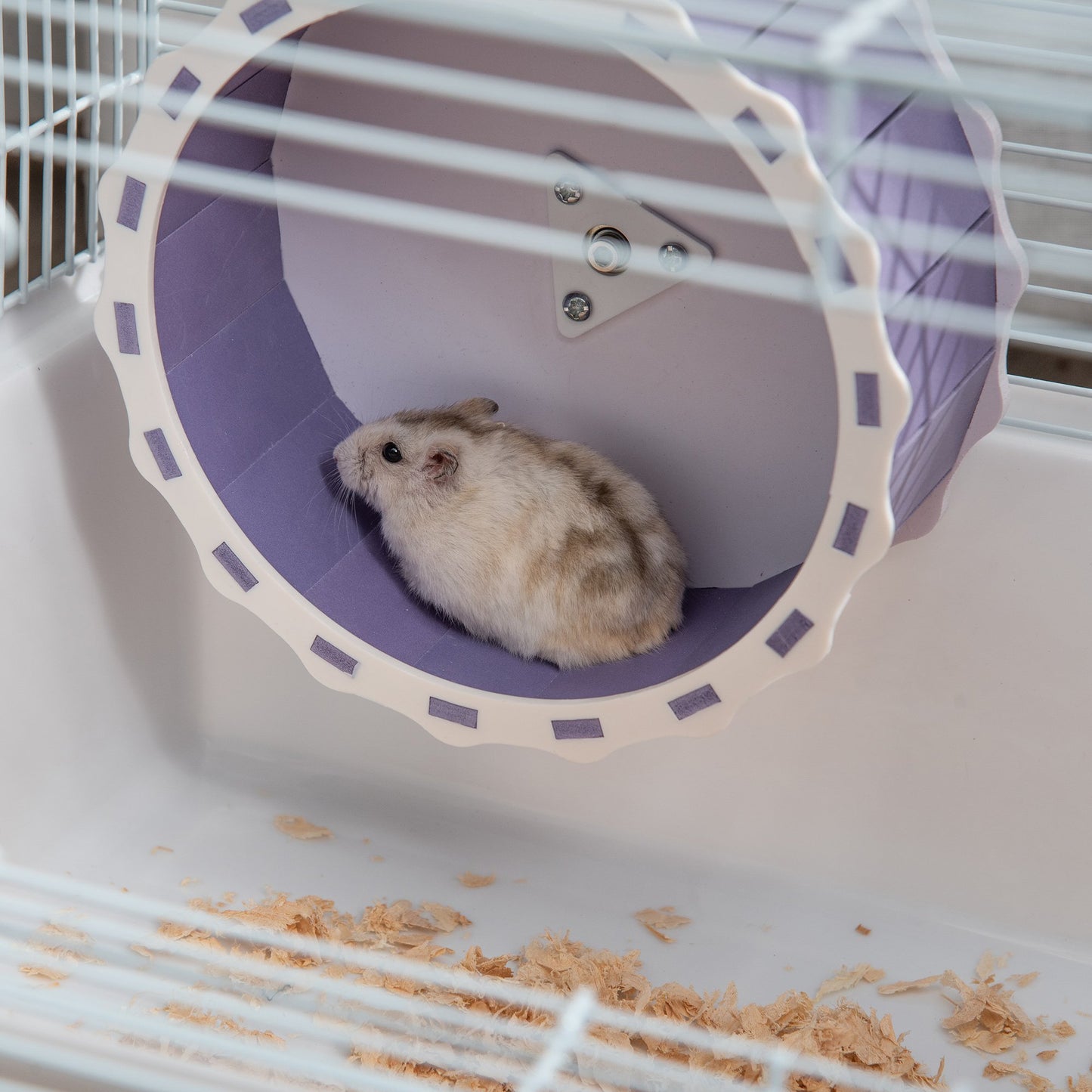 Hamster sales cage price