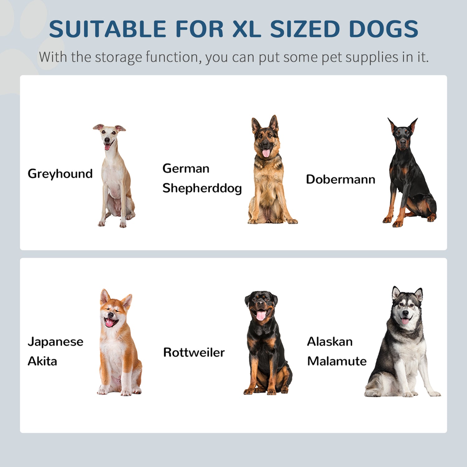 Xl raised dog sales bowls