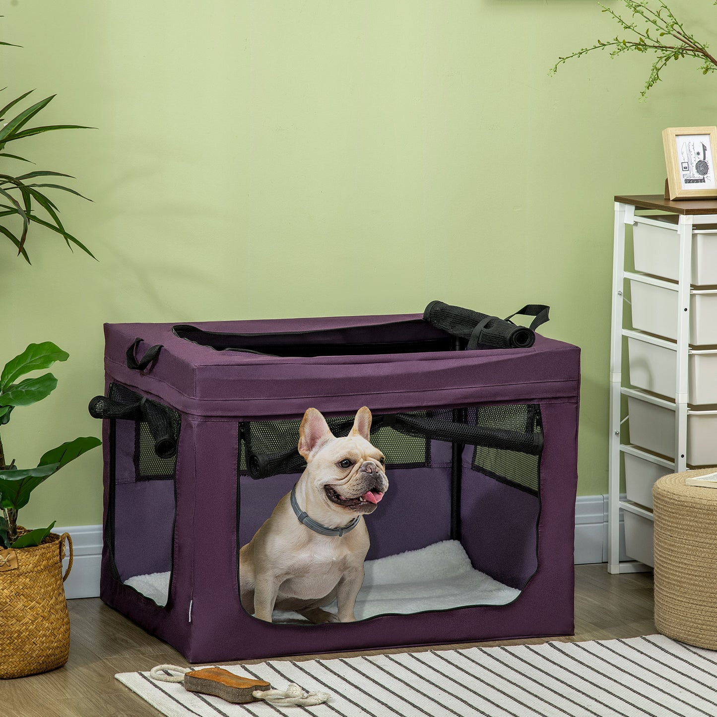 Medium deals dog carrier