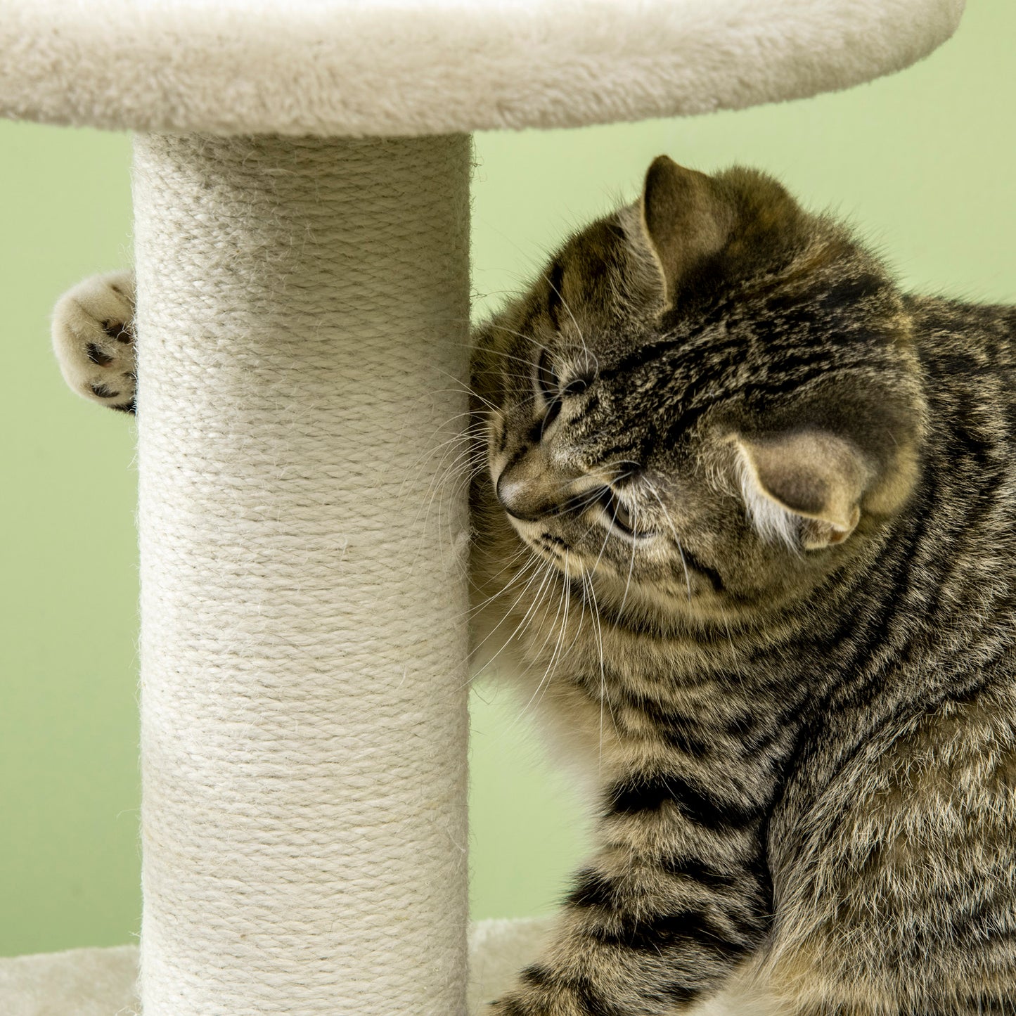 PawHut Cat Tree, Climbing Kitten Cat Tower Activity Center for Indoor Cats with Jute Scratching Post, Beige