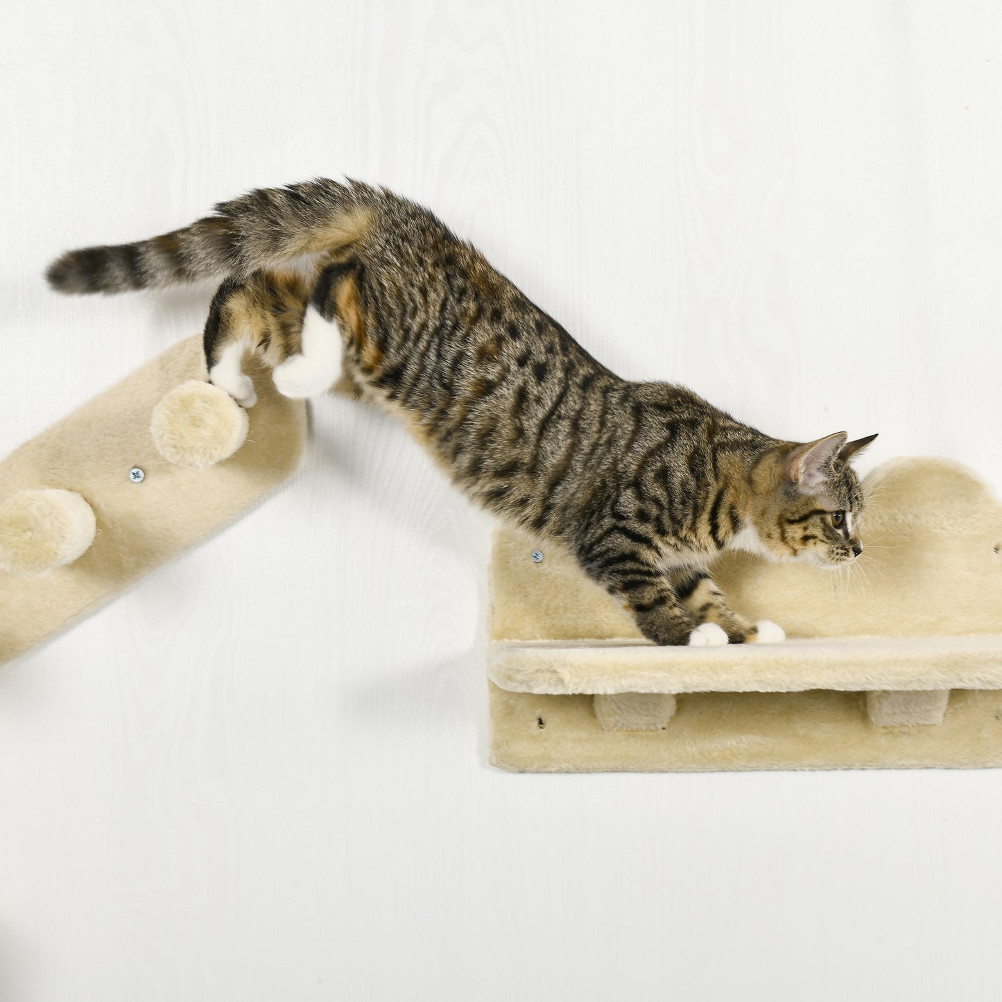 PawHut 4PCs Wall-mounted Cats Shelves, Cat Climbing Shelf Set, Kitten Activity Center, Beige