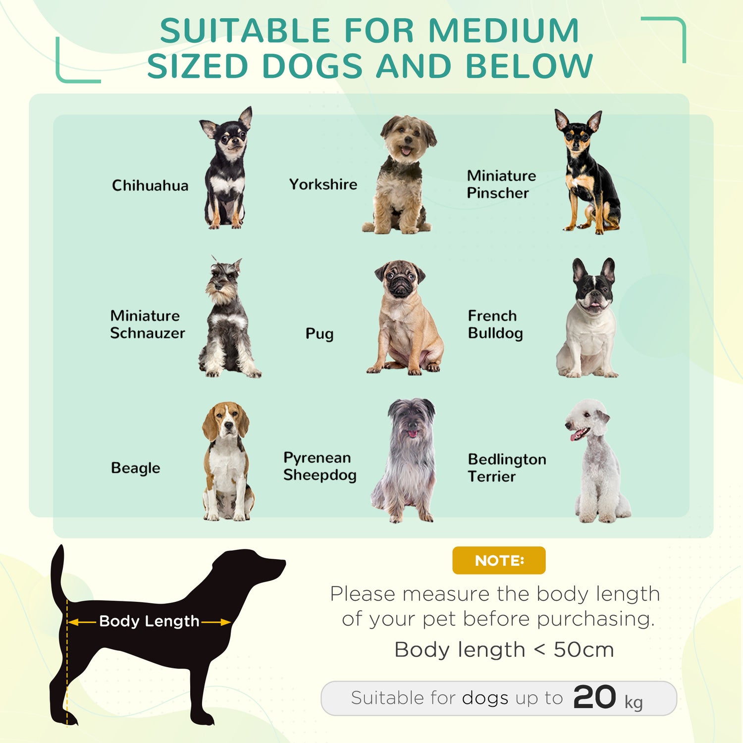 Puppy What Is The Least Popular Dog Most Popular Miniature Dogs