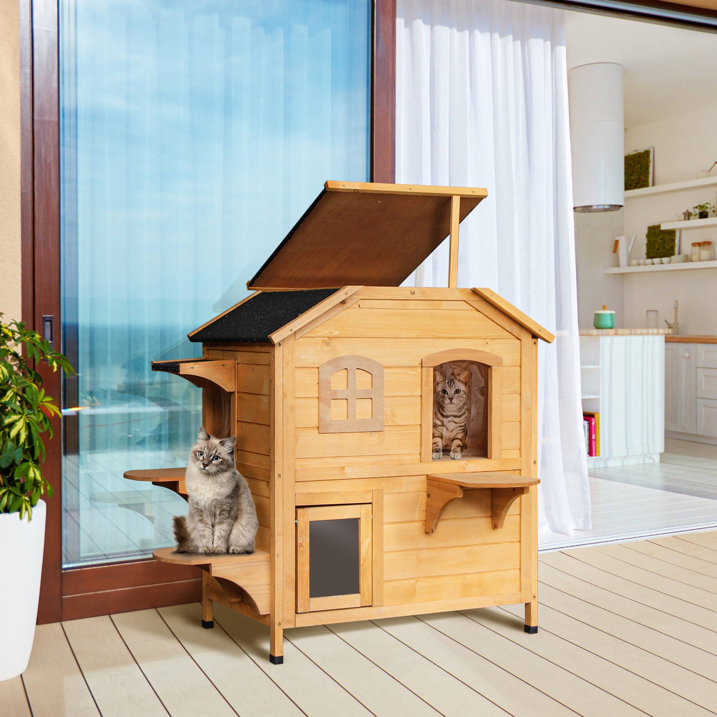 Buy outdoor 2024 cat house