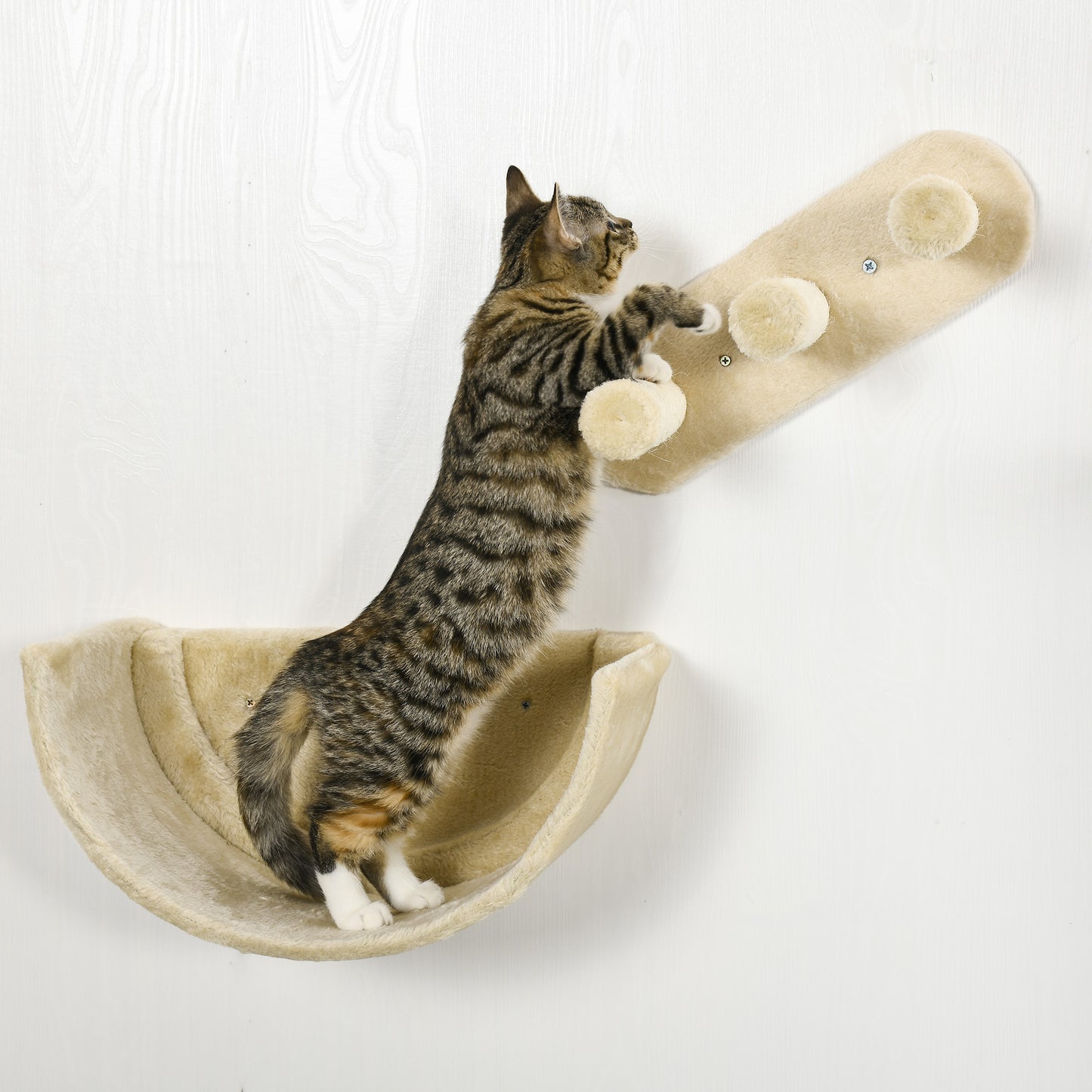 PawHut 4PCs Wall-mounted Cats Shelves, Cat Climbing Shelf Set, Kitten Activity Center, Beige