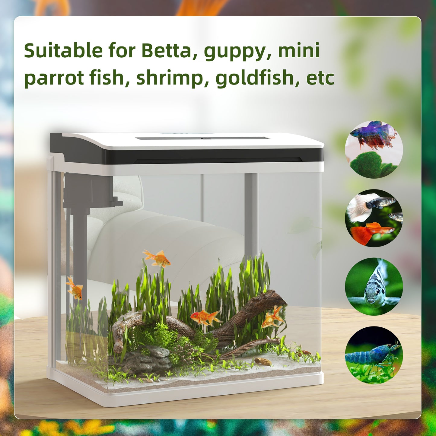 PawHut 13L Glass Aquarium Fish Tank with Filter LED Lighting for Betta Guppy Mini Parrot Fish Shrimp 29 x 20 x 30.5cm
