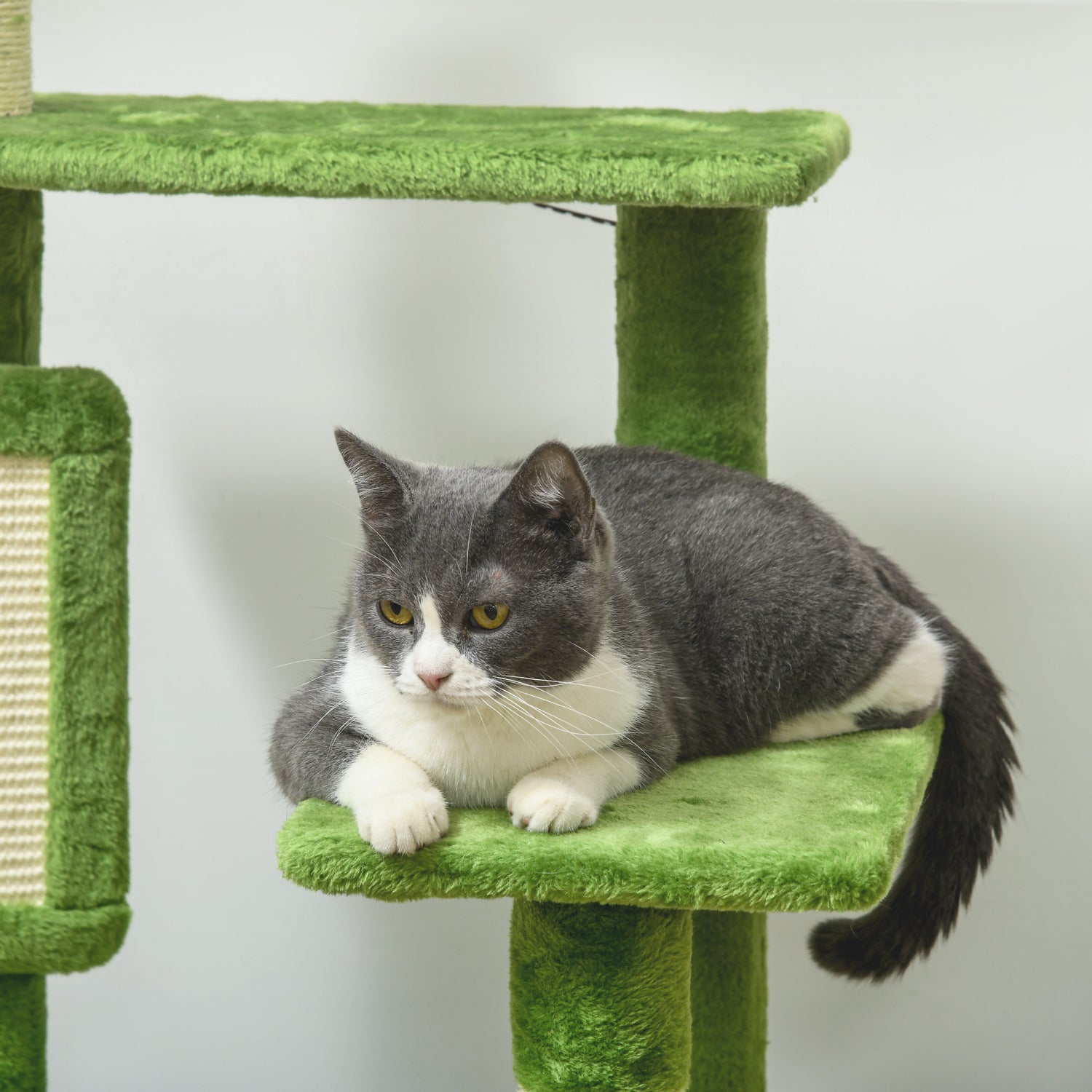 Parc Pour Chat Apatal Cat Scratching Post Wall Mounted Pack Cage