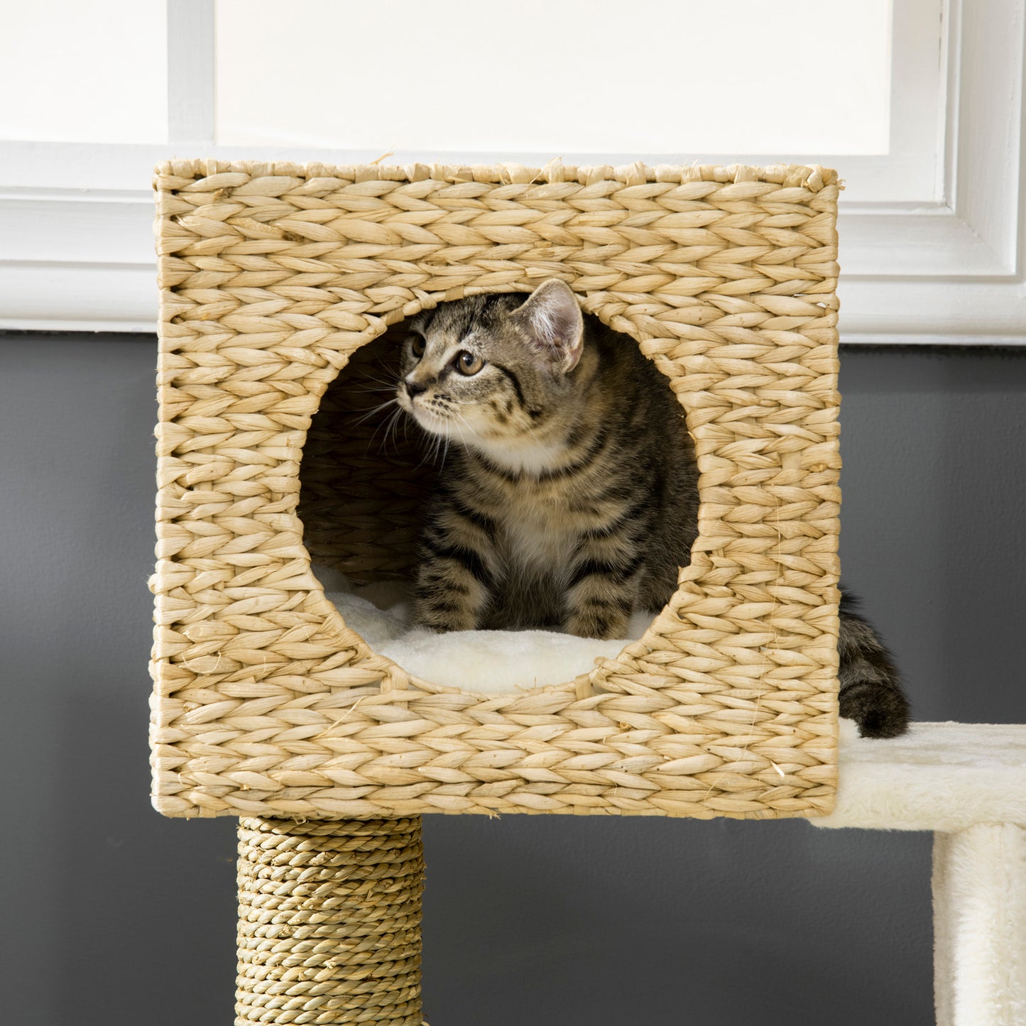 PawHut Cat Tree for Indoor Cats Kitten Tower Cattail Weave with Scratching Posts, Natural, 57 x 37 x 100.5 cm